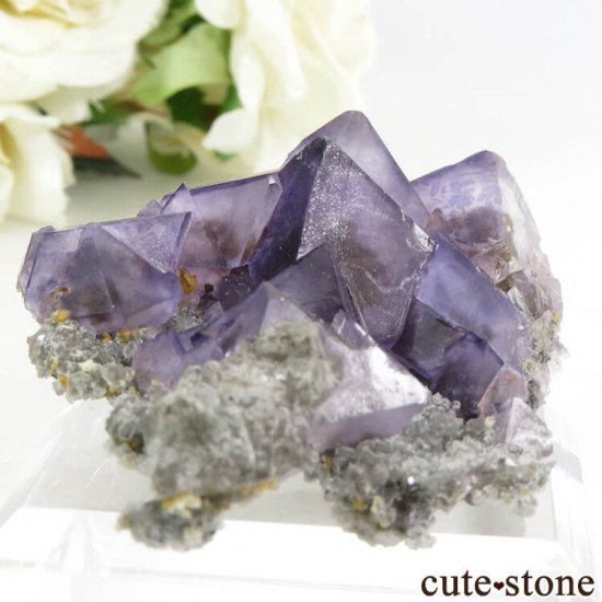  󥴥뻺 ѡץե饤Ȥθ 30gμ̿0 cute stone