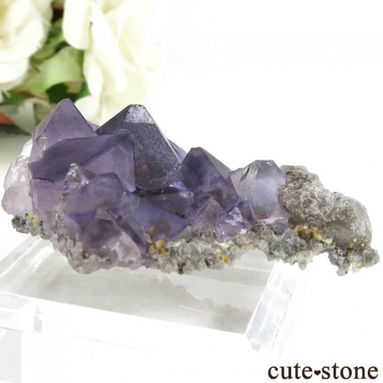  󥴥뻺 ѡץե饤Ȥθ 30gμ̿1 cute stone