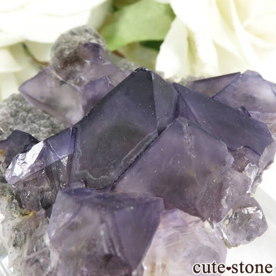  󥴥뻺 ѡץե饤Ȥθ 30gμ̿3 cute stone