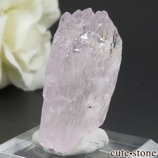 ե˥ ĥ (ݥ󡦥) η뾽() 9.8gμ̿0 cute stone