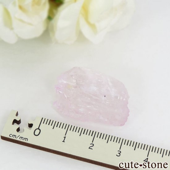 ե˥ ĥ (ݥ󡦥) η뾽() 9.8gμ̿3 cute stone