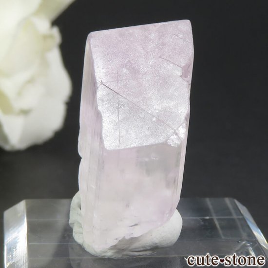 ե˥ ĥ (ݥ󡦥) η뾽() 7.7gμ̿2 cute stone