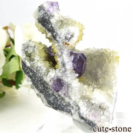  ʡʻѡץ֥롼ե饤Ȥդ뾽ʸС 45gμ̿0 cute stone