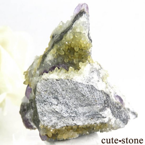  ʡʻѡץ֥롼ե饤Ȥդ뾽ʸС 45gμ̿1 cute stone