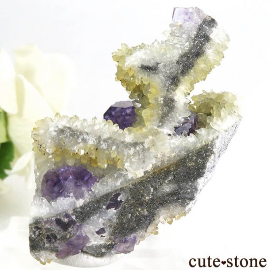  ʡʻѡץ֥롼ե饤Ȥդ뾽ʸС 45gμ̿2 cute stone