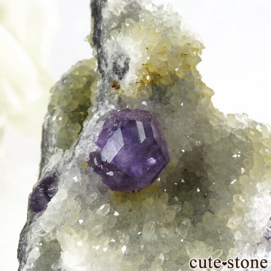  ʡʻѡץ֥롼ե饤Ȥդ뾽ʸС 45gμ̿3 cute stone