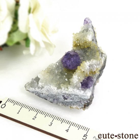  ʡʻѡץ֥롼ե饤Ȥդ뾽ʸС 45gμ̿4 cute stone