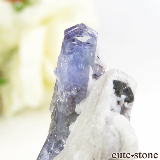 ˻ 󥶥ʥȤդ뾽ʸС5.1gμ̿4 cute stone
