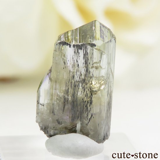 ˻ ȡʥ󥶥ʥȡˤη뾽ʸС1gμ̿1 cute stone