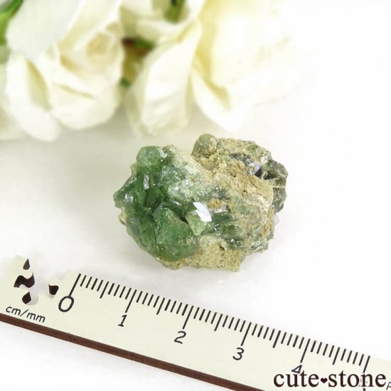 ޥ뻺ΥǥޥȥɥͥåȤդ 15.5gμ̿4 cute stone