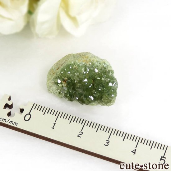 マダガスカル産のデマントイドガーネットの母岩付き原石 11.2g - cute stone -