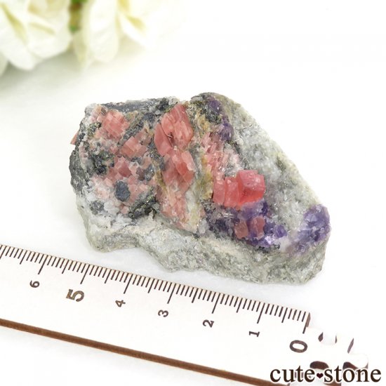  ȥۡۻΥɥȡե饤Ȥθ 139gμ̿6 cute stone