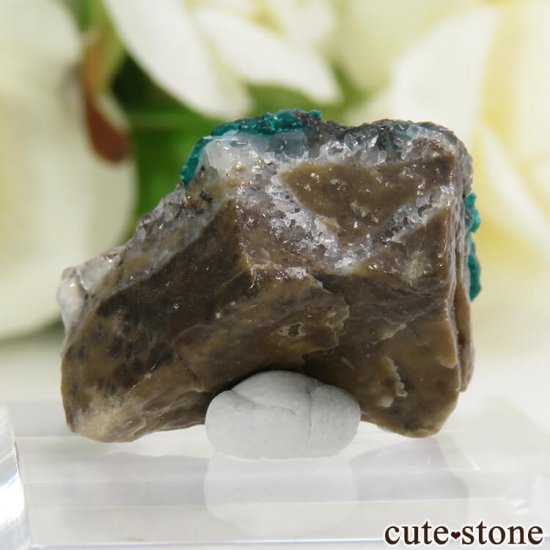 ե󻺤Υץơդ뾽ʸС4.2gμ̿1 cute stone