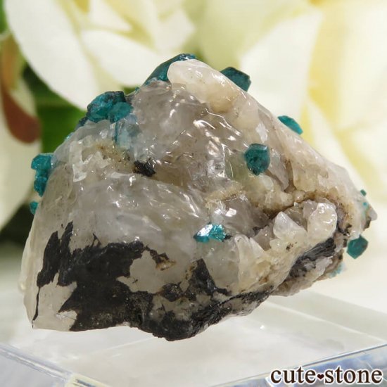 ե󻺤Υץơդ뾽ʸС8gμ̿1 cute stone