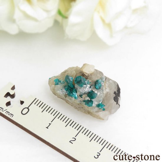 ե󻺤Υץơդ뾽ʸС8gμ̿2 cute stone
