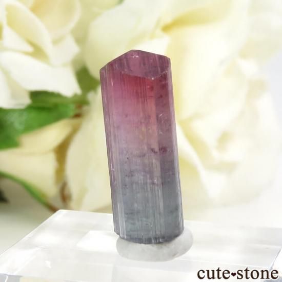 ブラジル Pederneira mine産 トルマリンの結晶(原石) 2g - cute