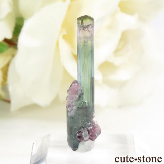 ֥饸 Pederneira mine ȥޥޥη뾽() 0.4gμ̿1 cute stone
