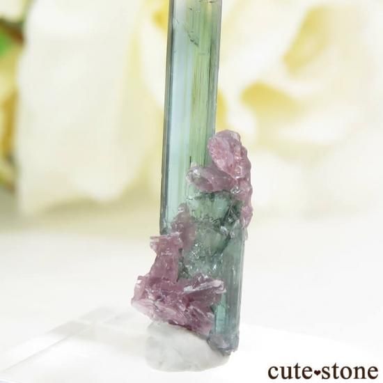 ブラジル Pederneira mine産 トルマリン＆マイカの結晶(原石