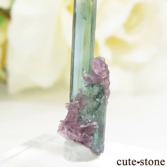 ֥饸 Pederneira mine ȥޥޥη뾽() 0.4gμ̿3 cute stone