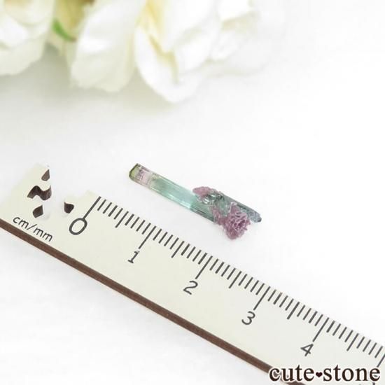 ブラジル Pederneira mine産 トルマリン＆マイカの結晶(原石) 0.4g