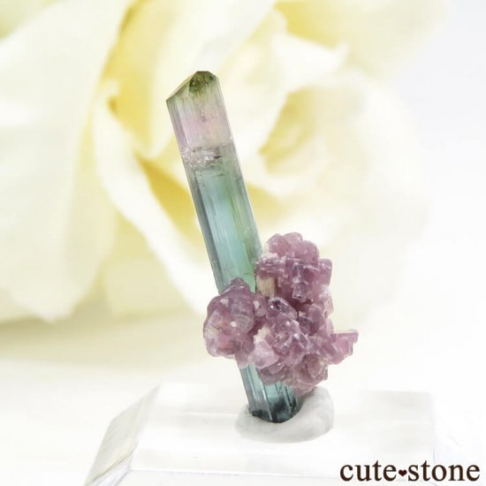 ֥饸 Pederneira mine ȥޥޥη뾽() 0.4g(2)μ̿0 cute stone