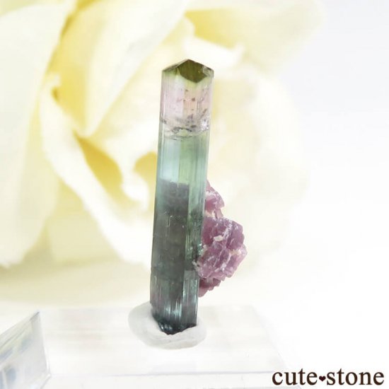 ֥饸 Pederneira mine ȥޥޥη뾽() 0.4g(2)μ̿1 cute stone