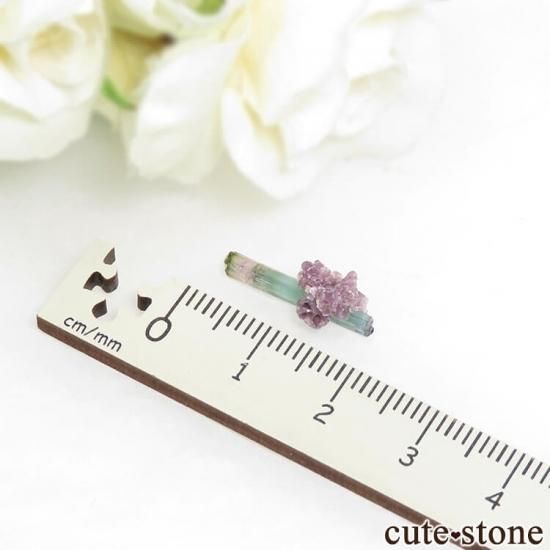 ֥饸 Pederneira mine ȥޥޥη뾽() 0.4g(2)μ̿3 cute stone