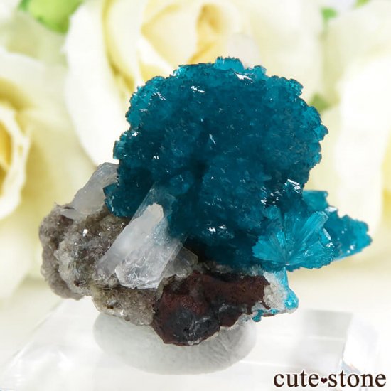  ץ͡ Х󥵥Ȥդ뾽ʸС 10.3gμ̿0 cute stone