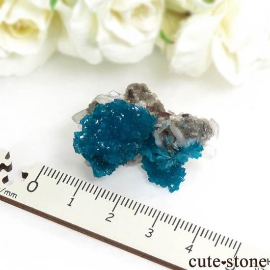  ץ͡ Х󥵥Ȥդ뾽ʸС 10.3gμ̿3 cute stone
