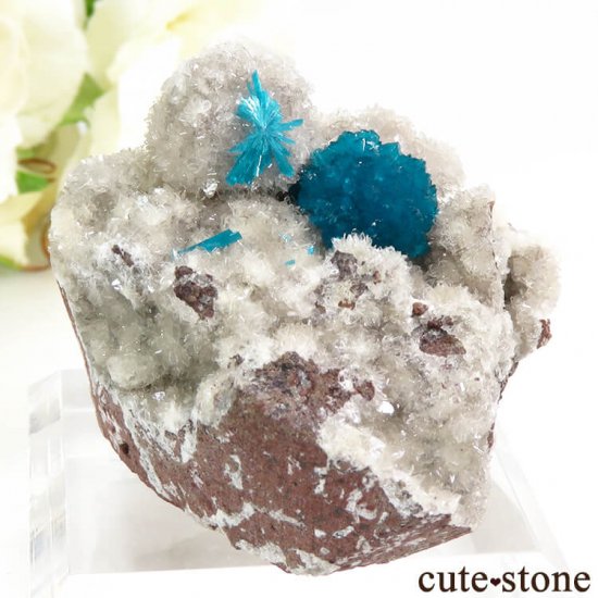  ץ͡ Х󥵥Ȥդ뾽ʸС 44.9gμ̿0 cute stone