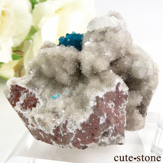  ץ͡ Х󥵥Ȥդ뾽ʸС 44.9gμ̿1 cute stone