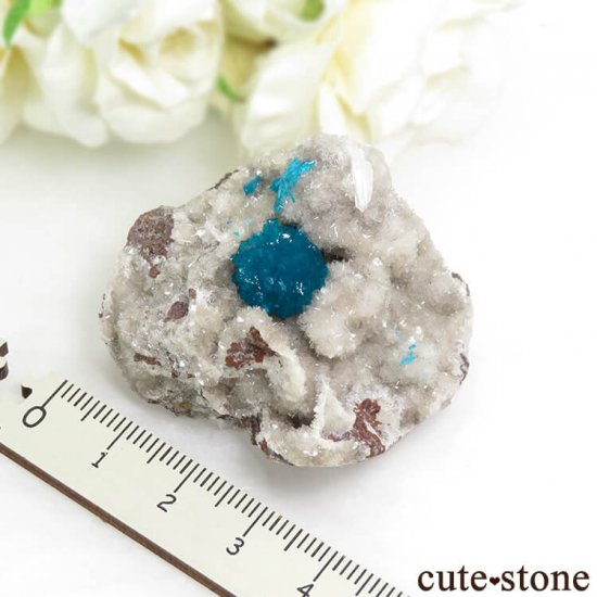  ץ͡ Х󥵥Ȥդ뾽ʸС 44.9gμ̿4 cute stone