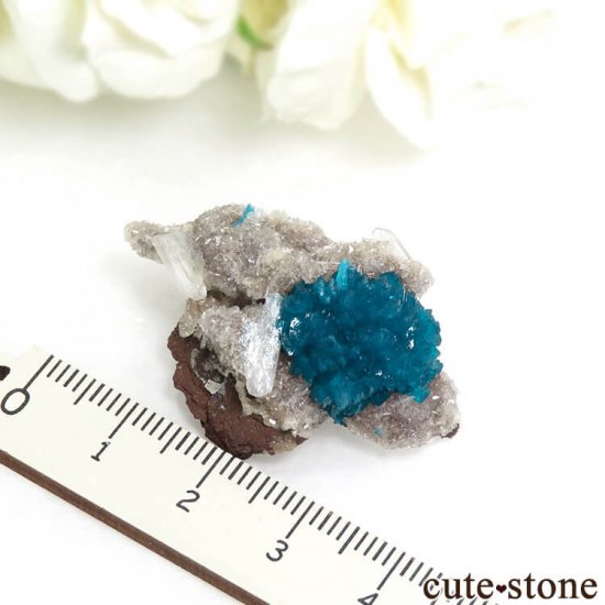  ץ͡ Х󥵥Ȥդ뾽ʸС 9.8gμ̿3 cute stone