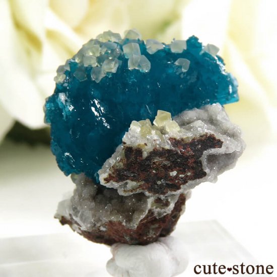  ץ͡ Х󥵥ȡ륵Ȥդ뾽ʸС 5.1gμ̿3 cute stone