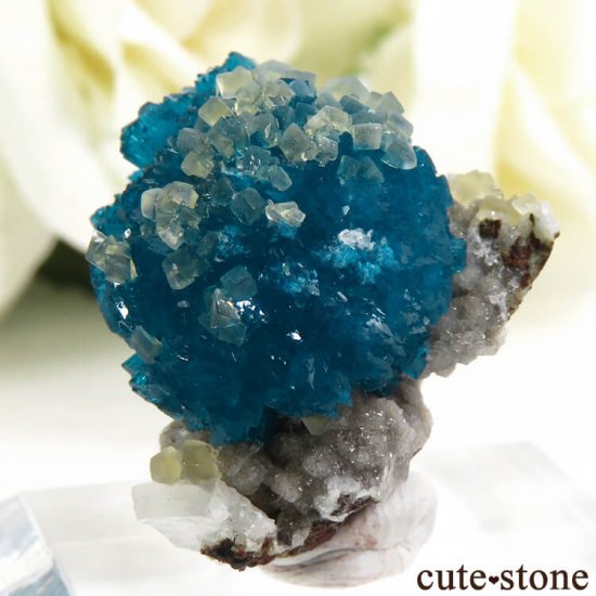  ץ͡ Х󥵥ȡ륵Ȥդ뾽ʸС 5.1gμ̿4 cute stone