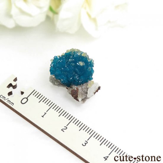  ץ͡ Х󥵥ȡ륵Ȥդ뾽ʸС 5.1gμ̿5 cute stone