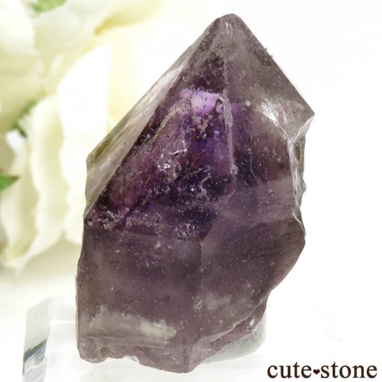 ʥߥӥ ֥ɥС ꥢ᥸Ȥη뾽() 17.8gμ̿2 cute stone