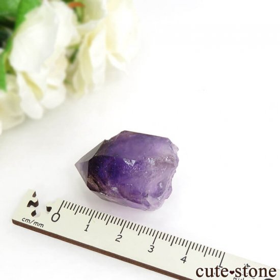 ʥߥӥ ֥ɥС ꥢ᥸Ȥη뾽() 17.4gμ̿5 cute stone