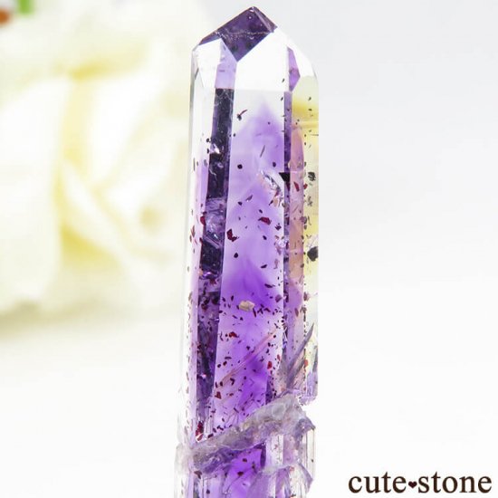 ʥߥӥ ֥ɥС ԥɥꥢ᥸Ȥη뾽() 2.5gμ̿3 cute stone