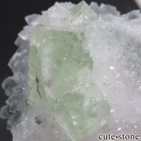  ʻ ꡼ե饤ȡĤζɸܡʸС76gμ̿1 cute stone