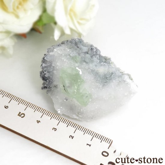  ʻ ꡼ե饤ȡĤζɸܡʸС76gμ̿3 cute stone