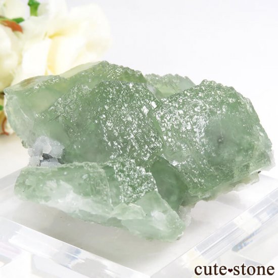  ʻ ꡼ե饤Ȥη뾽ʸС106gμ̿0 cute stone