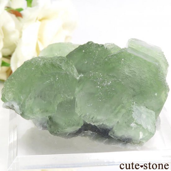  ʻ ꡼ե饤Ȥη뾽ʸС106gμ̿2 cute stone