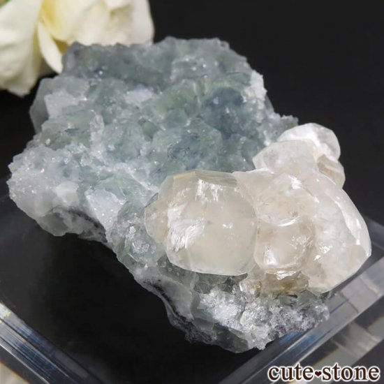  ʻ ꡼ե饤ȡ륵Ȥη뾽ʸС79gμ̿0 cute stone