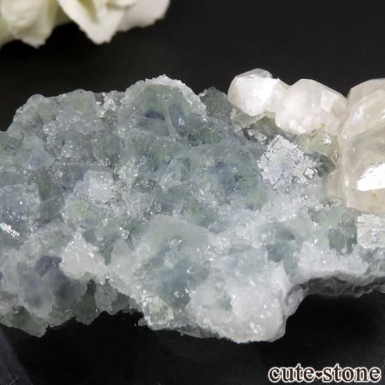  ʻ ꡼ե饤ȡ륵Ȥη뾽ʸС79gμ̿1 cute stone