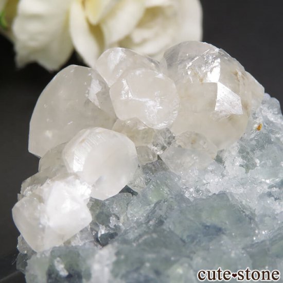  ʻ ꡼ե饤ȡ륵Ȥη뾽ʸС79gμ̿4 cute stone