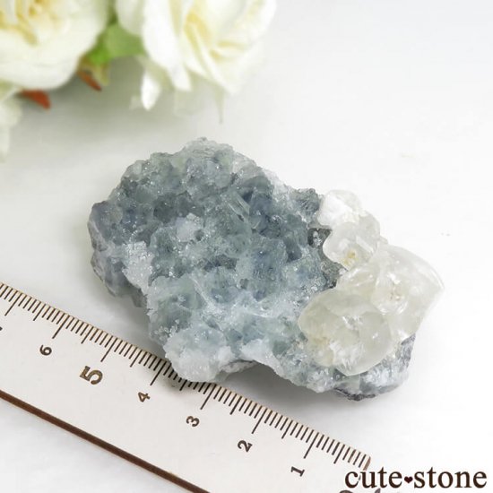  ʻ ꡼ե饤ȡ륵Ȥη뾽ʸС79gμ̿5 cute stone