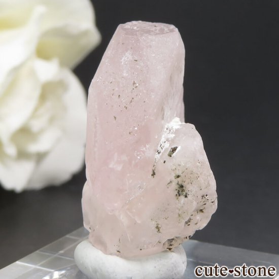 ѥ ɥ 륬ʥȡȥޥη뾽ʸС 7.5gμ̿2 cute stone