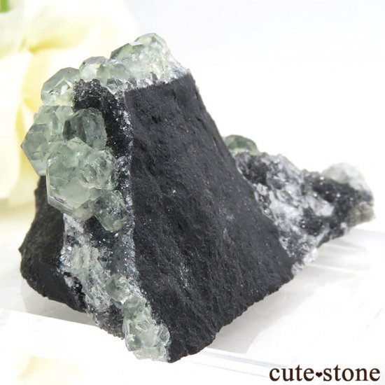  ʡʻ ꡼ե饤Ȥդ뾽ʸС43gμ̿0 cute stone