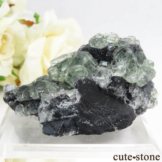  ʡʻ ꡼ե饤Ȥդ뾽ʸС43gμ̿1 cute stone